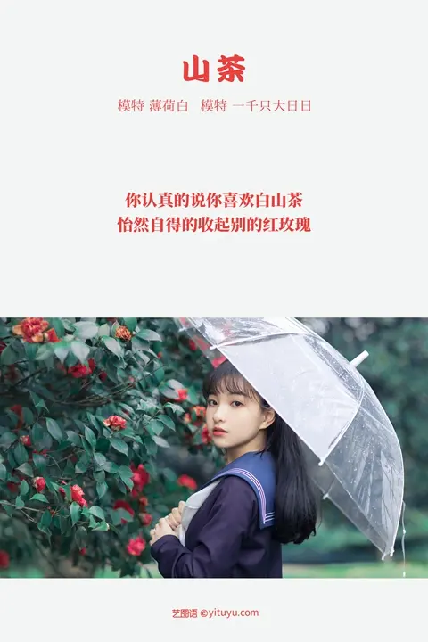 Y378 山茶 一千只大日日[17+1P／295MB]